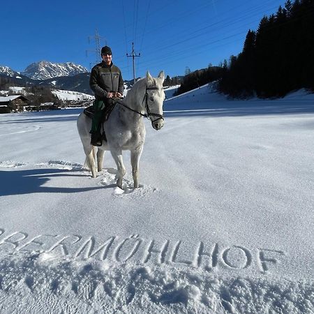 Апартаменты Obermuehlhof Зальфельден Экстерьер фото