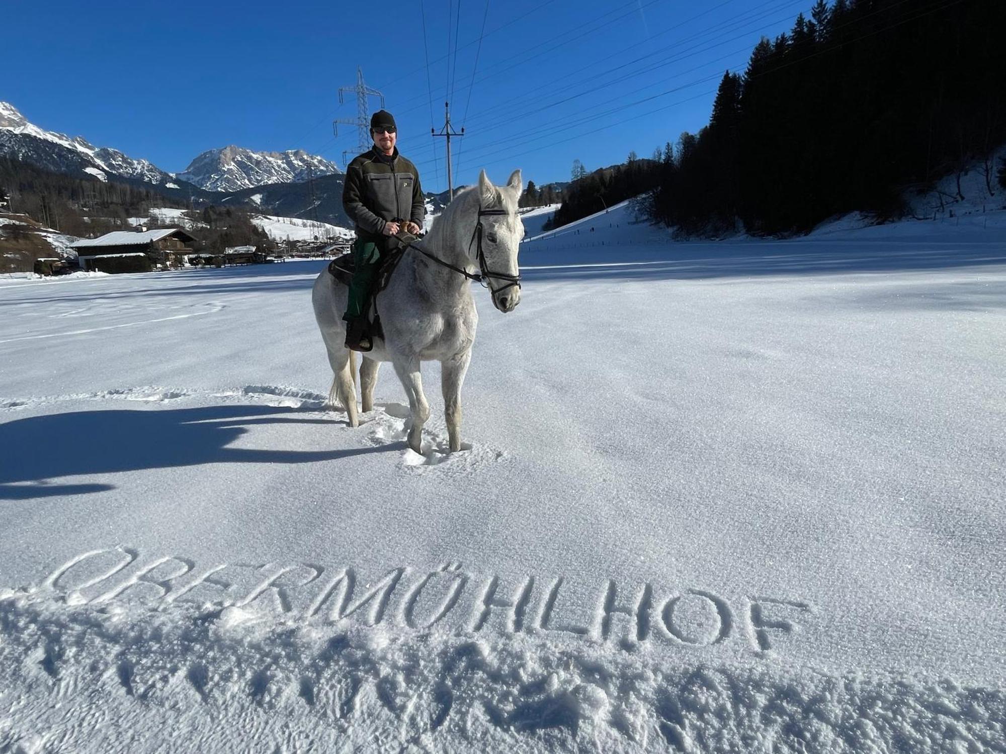 Апартаменты Obermuehlhof Зальфельден Экстерьер фото